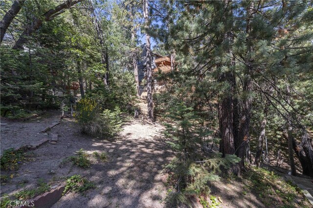 32825 Deer Lick Dr, Arrowbear, CA 92382 - photo 20
