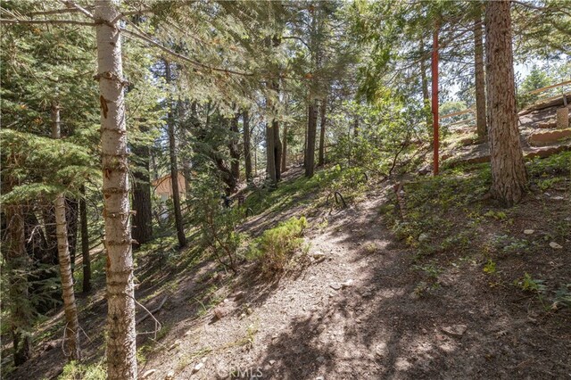 32825 Deer Lick Dr, Arrowbear, CA 92382 - photo 25