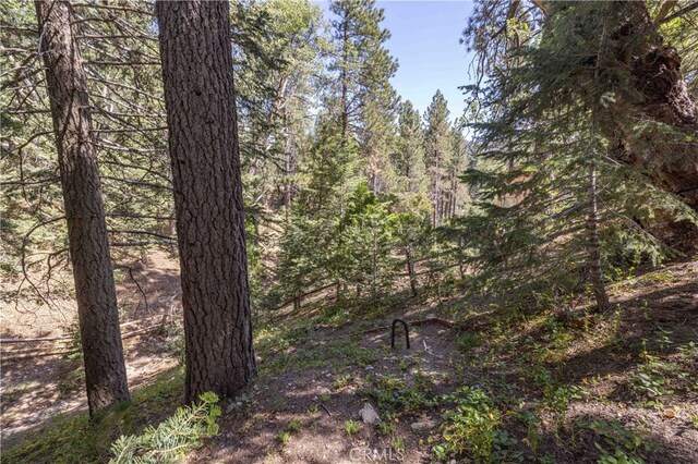 32825 Deer Lick Dr, Arrowbear, CA 92382 - photo 26