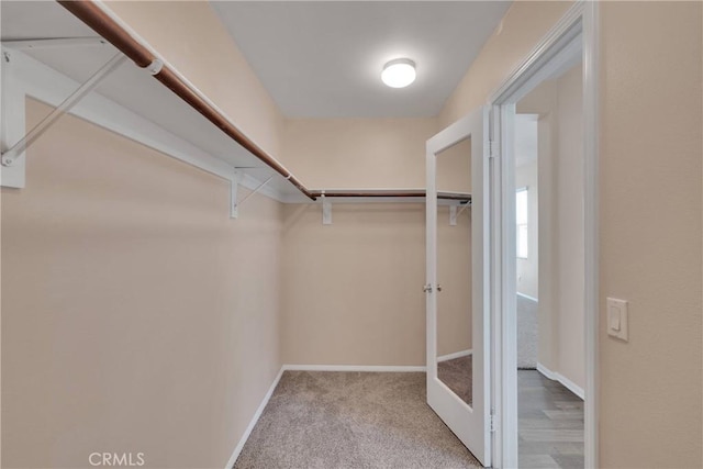35668 Trevino Trl, Beaumont, CA 92223 - walk in closet with carpet flooring