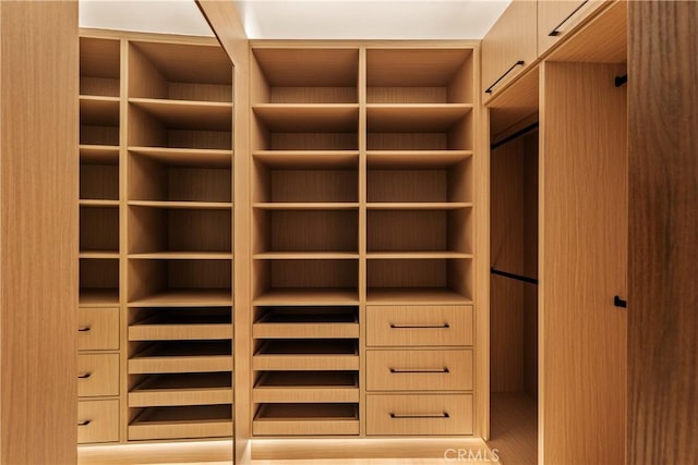 1955 Curson Pl, Los Angeles, CA 90046 - view of walk in closet