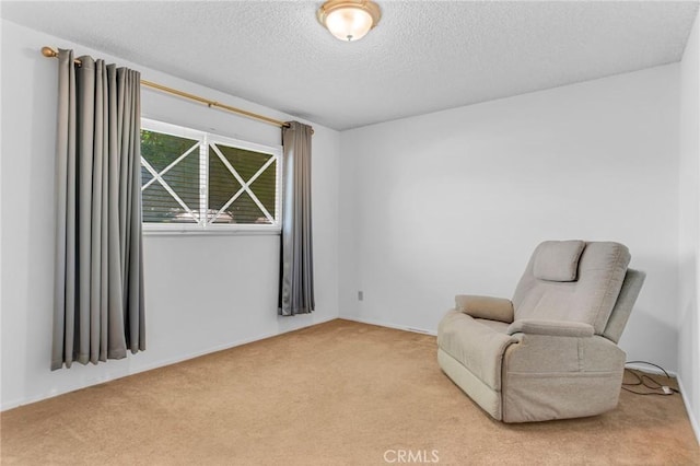 18944 Prairie St, Northridge, CA 91324 - sitting room with carpet floors and a textured ceiling