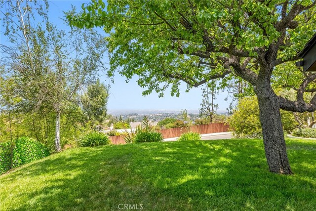 20101 Greenbriar Dr, Tarzana, CA 91356 - view of yard