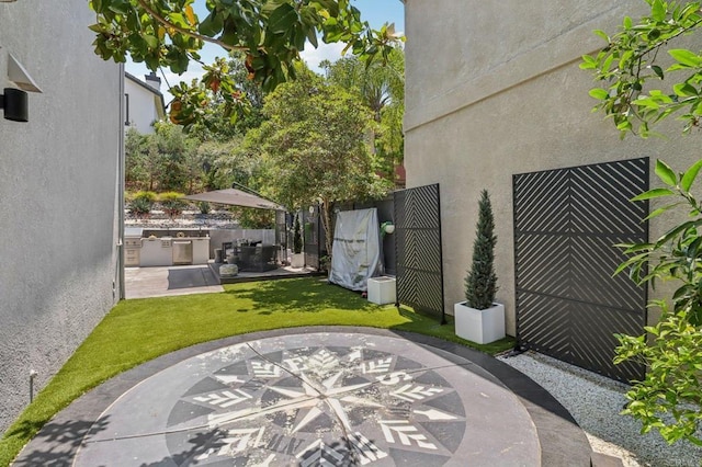 5414 Foxtail Loop, Carlsbad, CA 92010 - view of yard with exterior kitchen and a patio