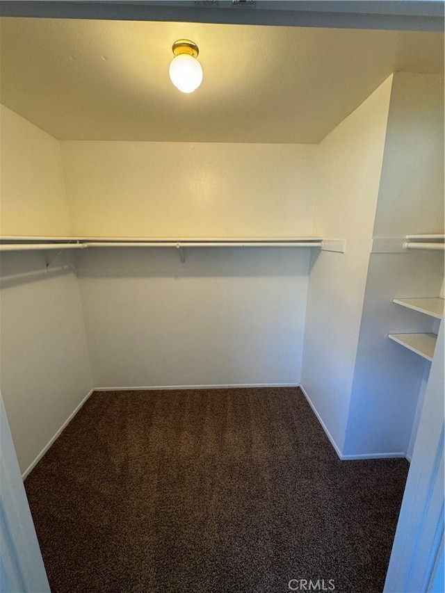 1107 Grieb Dr, Arroyo Grande, CA 93420 - spacious closet with carpet