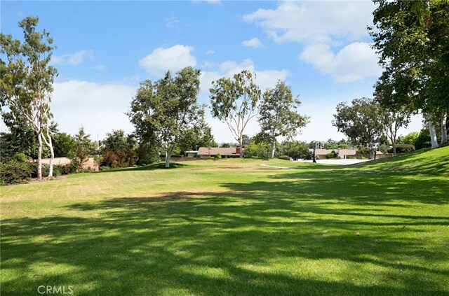 18802 Saginaw Dr, Irvine, CA 92603 - photo 51