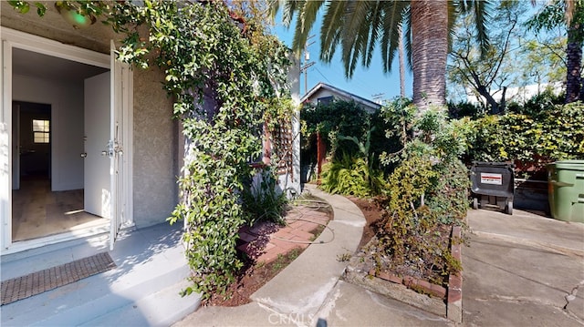 1143 N Sycamore Ave, Los Angeles, CA 90038 - view of yard