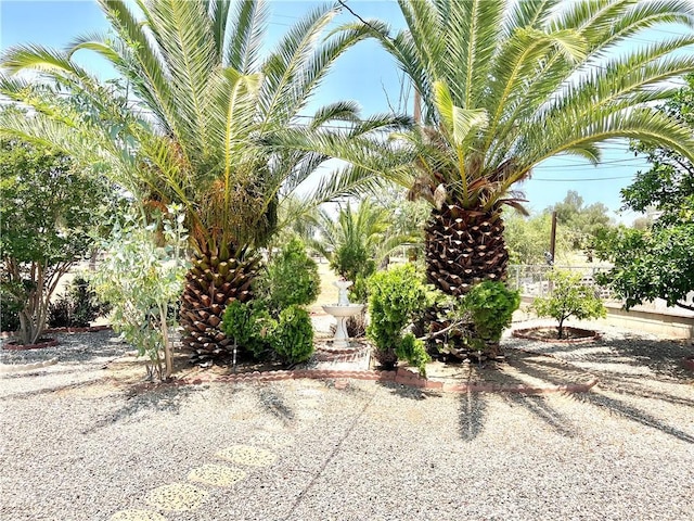 29041 Desert Hills Rd, Menifee, CA 92586 - view of yard
