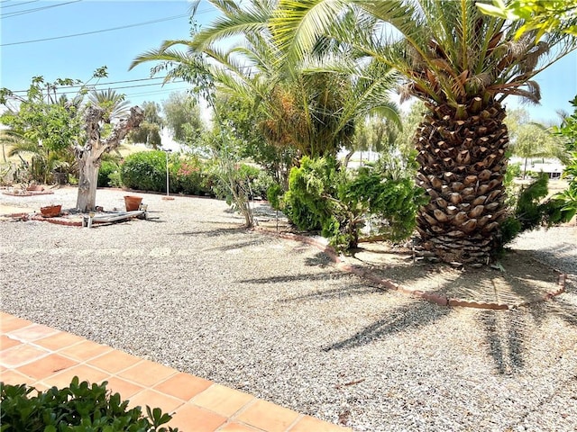 29041 Desert Hills Rd, Menifee, CA 92586 - view of yard