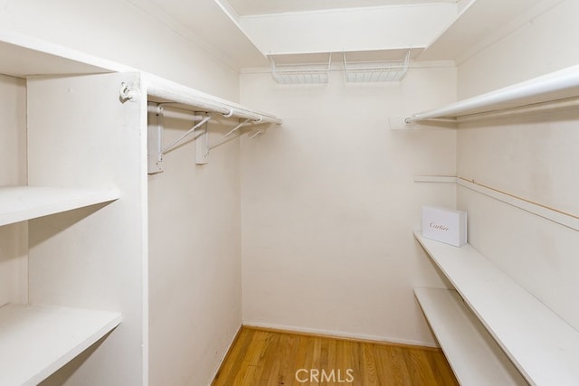 8398 Shoup Ave, West Hills, CA 91304 - spacious closet with light wood-type flooring
