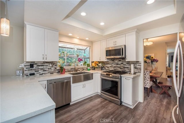 747 De Jesus, Placentia, CA 92870 - kitchen featuring stainless steel appliances, a tray ceiling, dark wood-type flooring, light countertops, and tasteful backsplash