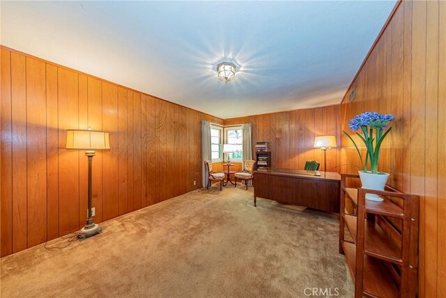 1173 Railroad Ln, Fish Camp, CA 93623 - photo 24