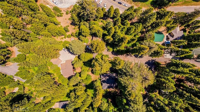 1173 Railroad Ln, Fish Camp, CA 93623 - photo 73