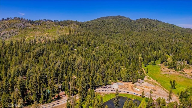 1173 Railroad Ln, Fish Camp, CA 93623 - photo 75