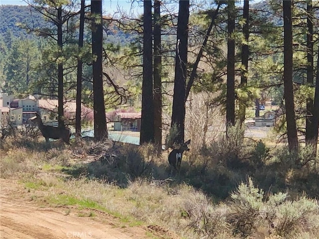 0 Butterfly Peak Rd, Mountain Center, CA 92561 - photo 6