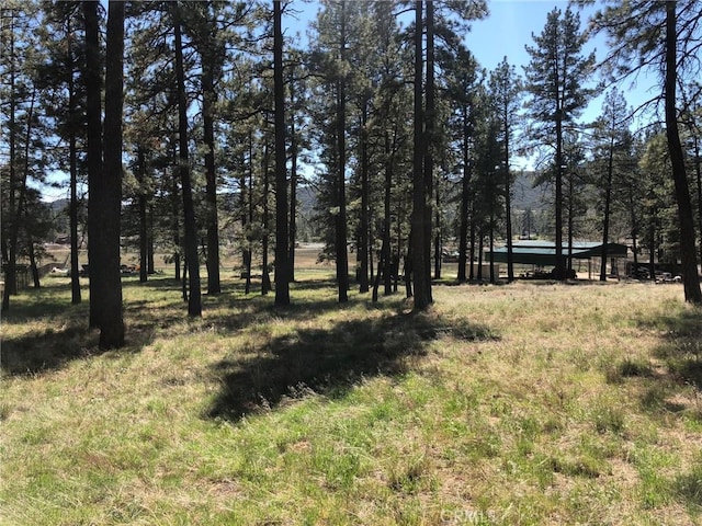 0 Butterfly Peak Rd, Mountain Center, CA 92561 - photo 18