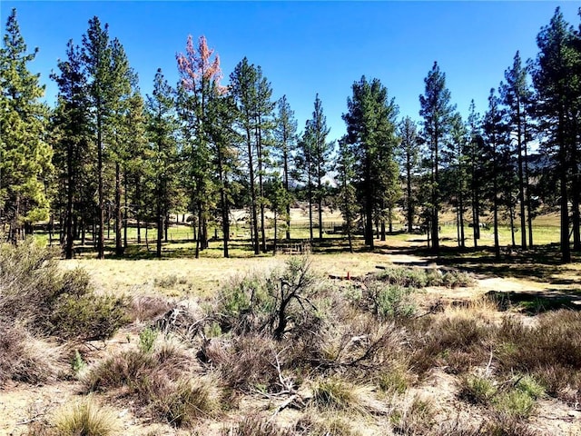 0 Butterfly Peak Rd, Mountain Center, CA 92561 - photo 4