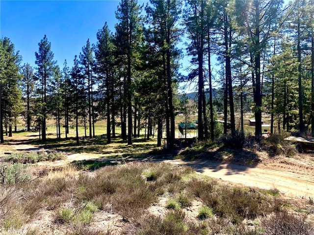0 Butterfly Peak Rd, Mountain Center, CA 92561 - photo 7
