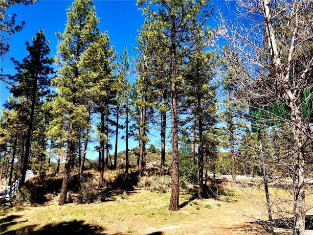 0 Butterfly Peak Rd, Mountain Center, CA 92561 - photo 12