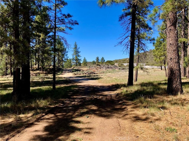 0 Butterfly Peak Rd, Mountain Center, CA 92561 - photo 17