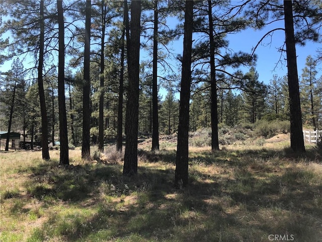 0 Butterfly Peak Rd, Mountain Center, CA 92561 - photo 19