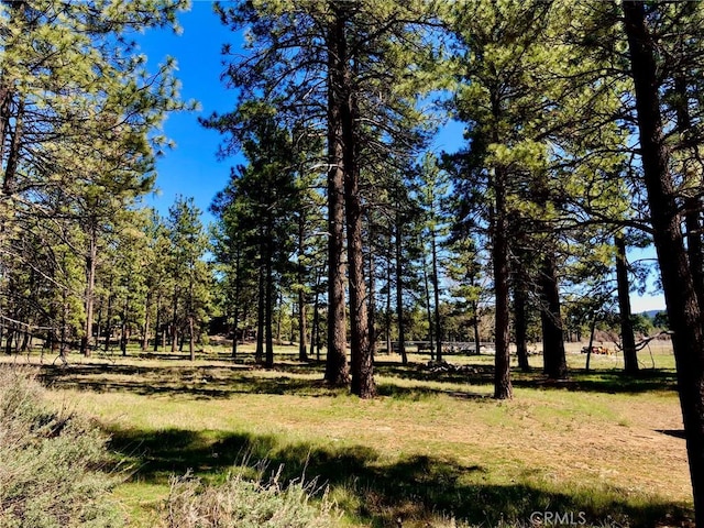 0 Butterfly Peak Rd, Mountain Center, CA 92561 - photo 14