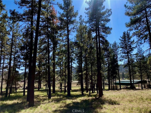 0 Butterfly Peak Rd, Mountain Center, CA 92561 - photo 5