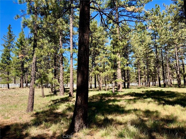 0 Butterfly Peak Rd, Mountain Center, CA 92561 - photo 8