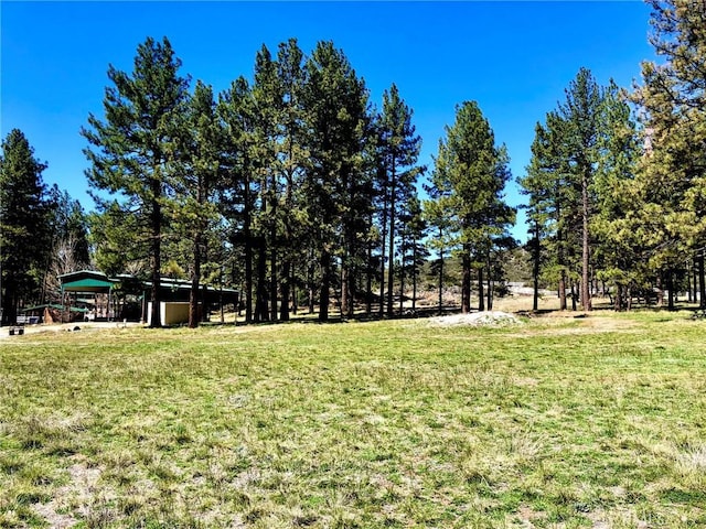 0 Butterfly Peak Rd, Mountain Center, CA 92561 - photo 1