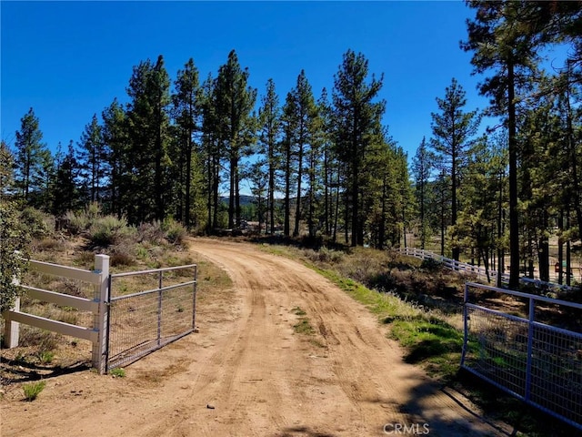 0 Butterfly Peak Rd, Mountain Center, CA 92561 - photo 20