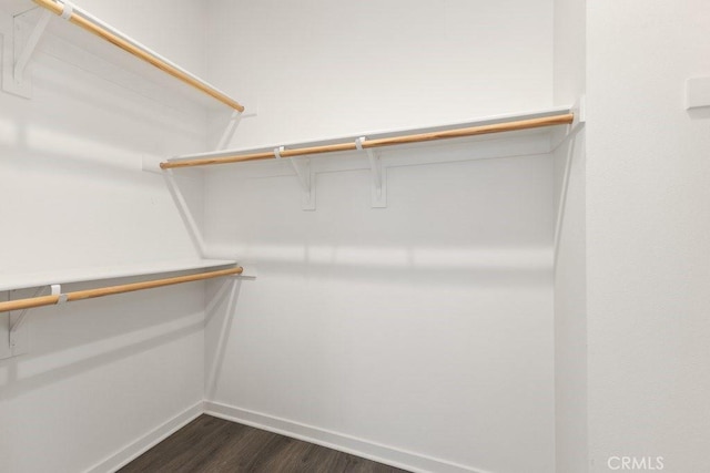 542 Cultivate, Irvine, CA 92618 - spacious closet featuring dark wood-type flooring