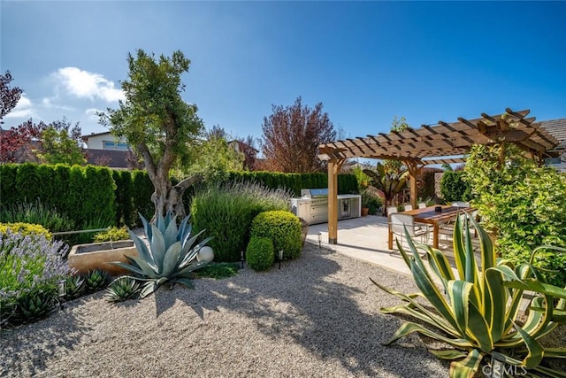 1115 Myles Ln, Nipomo, CA 93444 - view of yard with an outdoor kitchen, a pergola, and a patio