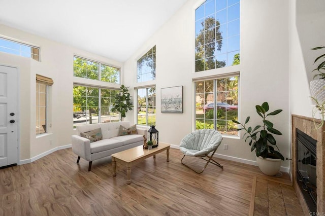 3430 Corte Viejo, Carlsbad, CA 92009 - living room with high vaulted ceiling, wood finished floors, and a glass covered fireplace