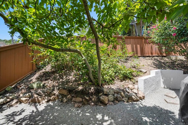 3430 Corte Viejo, Carlsbad, CA 92009 - view of yard