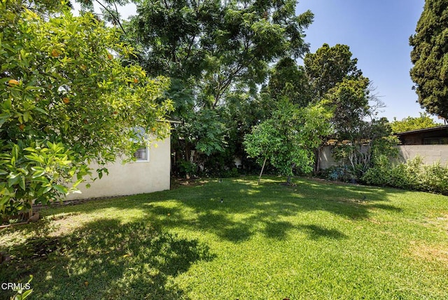 11215 Lull St, Sun Valley, CA 91352 - photo 18