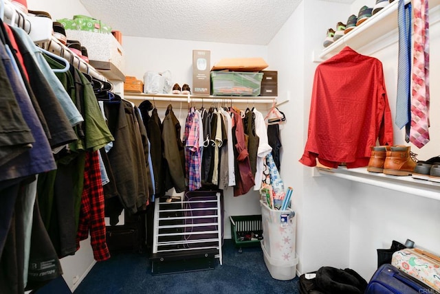 1403 Manzana Way, San Diego, CA 92139 - spacious closet featuring carpet floors