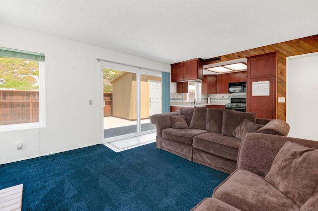 1403 Manzana Way, San Diego, CA 92139 - carpeted living area featuring a sink and wooden walls