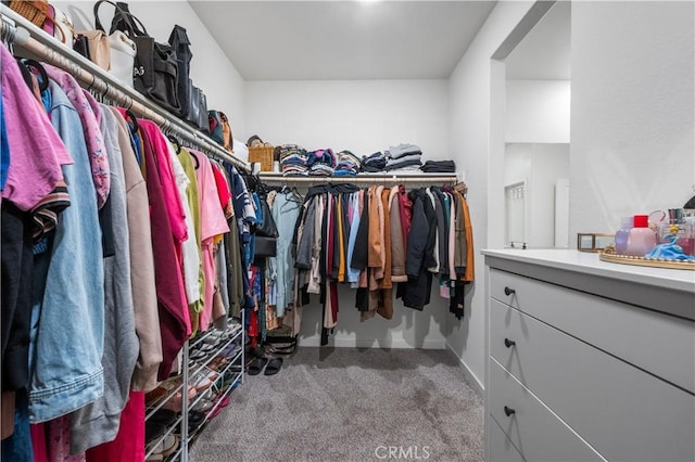 12366 Ranchito Way, Victorville, CA 92392 - spacious closet with carpet flooring