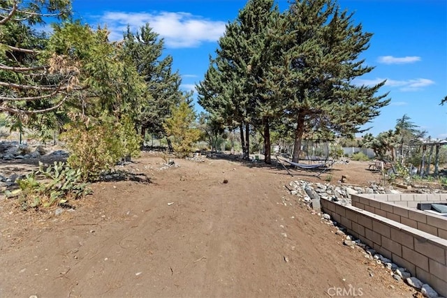 1946 Desert Front Rd, Wrightwood, CA 92397 - view of yard