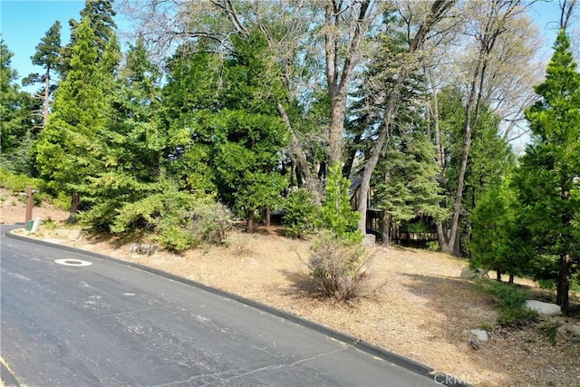 399 Cedar Ridge Dr, Lake Arrowhead, CA 92352 - photo 3