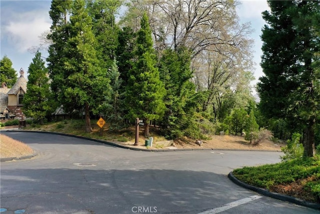 399 Cedar Ridge Dr, Lake Arrowhead, CA 92352 - photo 1