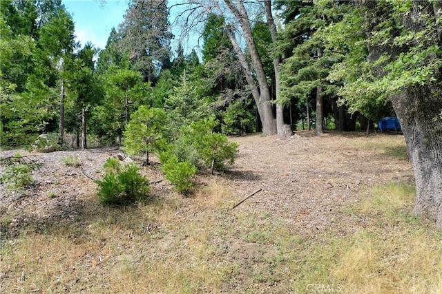 399 Cedar Ridge Dr, Lake Arrowhead, CA 92352 - photo 2