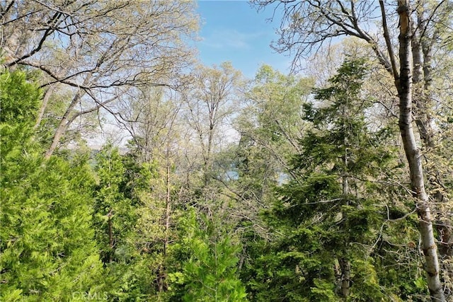 399 Cedar Ridge Dr, Lake Arrowhead, CA 92352 - photo 6