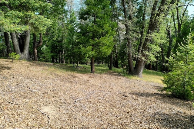 399 Cedar Ridge Dr, Lake Arrowhead, CA 92352 - photo 4