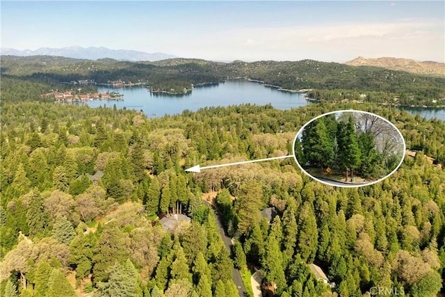 399 Cedar Ridge Dr, Lake Arrowhead, CA 92352 - photo 7