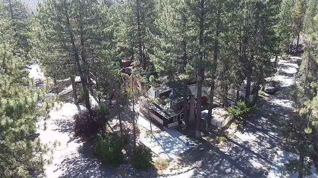 1813 Irene St, Wrightwood, CA 92397 - photo 26