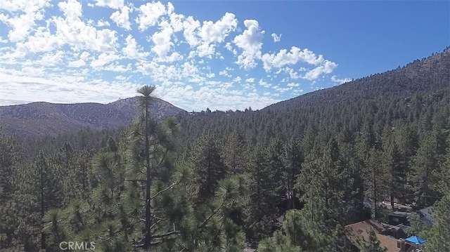 1813 Irene St, Wrightwood, CA 92397 - photo 25