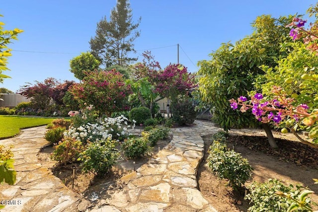 410 Palomares Ave, Ventura, CA 93003 - view of yard