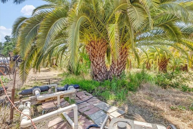 31497 Success Valley Dr, Porterville, CA 93257 - photo 57