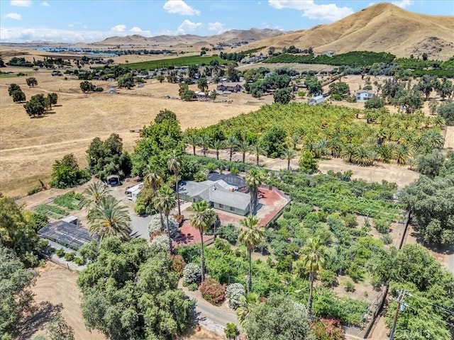 31497 Success Valley Dr, Porterville, CA 93257 - photo 8